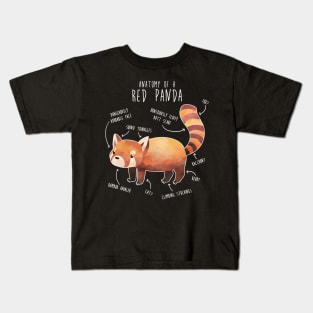 Red Panda Anatomy Kids T-Shirt